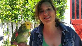 Rescue Highlight: Pickles by Happy Birds 542 views 4 years ago 2 minutes, 48 seconds