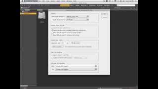 1   Adobe Bridge: Preferences
