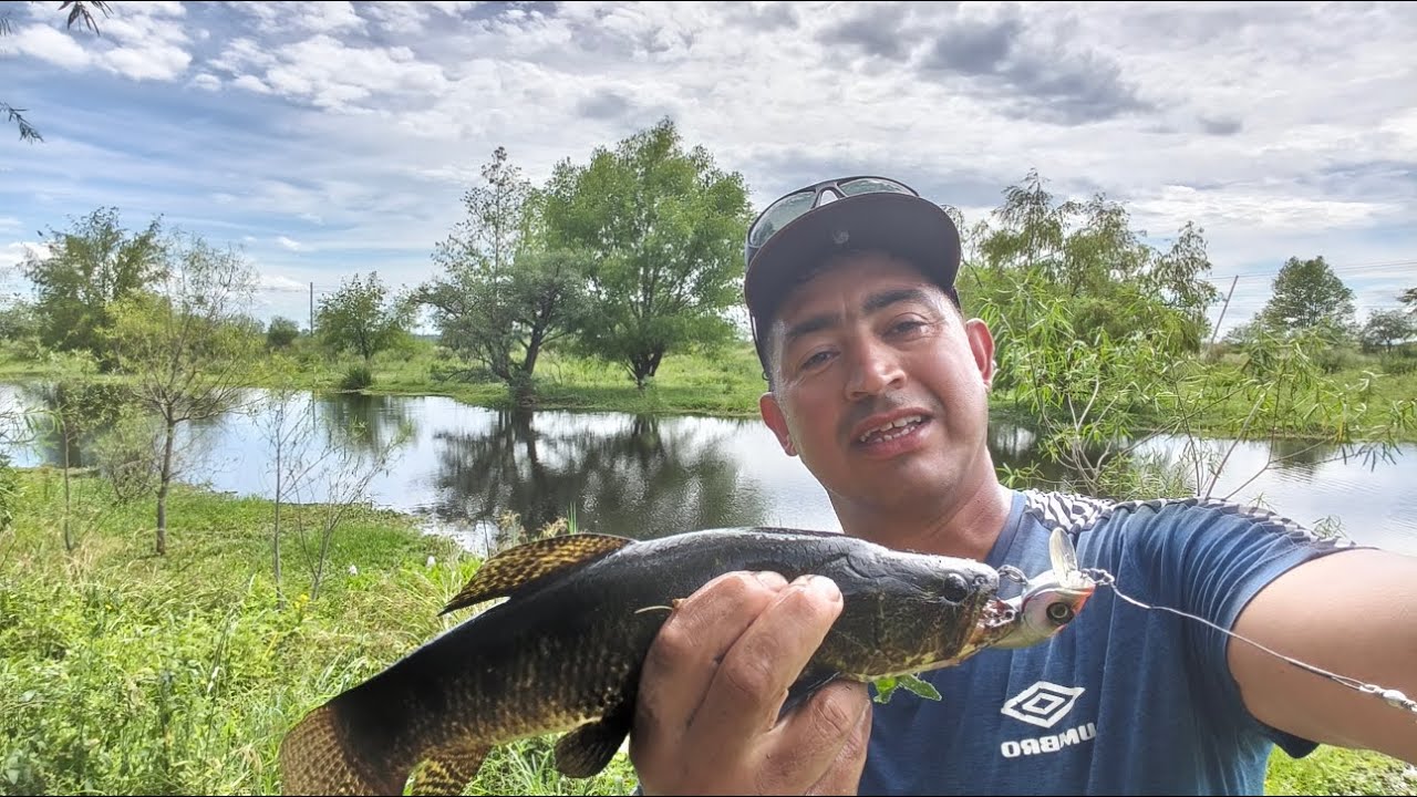 Pescaria de traira na Argentina 