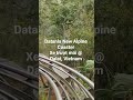 Datanla New Alpine CoasterXe trượt mới @ Dalat, Vietnam @JohnnysTravelJourneys