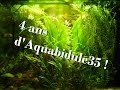 Vido des 4 ans daquabidule35  aquarium amazonien asiatique  gopro