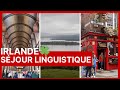 Sjour linguistique en irlande   oc report