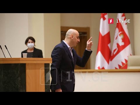 ნიკა მელია სადეპუტატო უფლებამოსილების შეწყვეტას ითხოვს