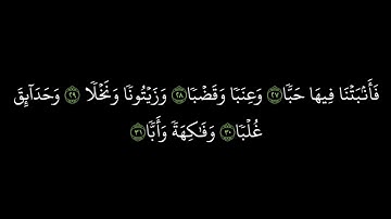 كروما سورة عبس كاملة || سورة عبس مكتوبة خلفية سوداء || سورة عبس المنشاوي