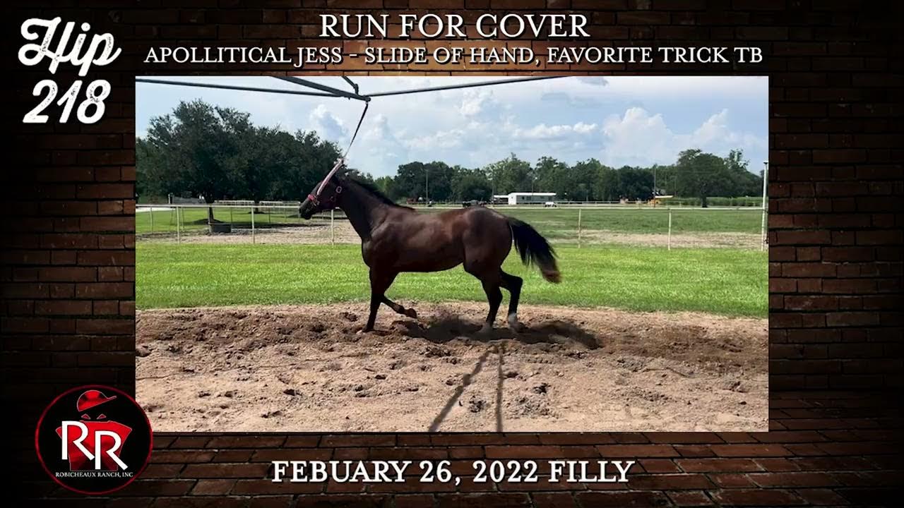 Ruidoso Select Yearling Hip 218 YouTube