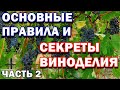 Как сделать домашнее вино - Квартирное вино - Основные ошибки - Важные секреты - Часть 2