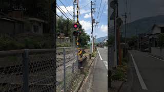 【踏切】吉本踏切　1500型気動車　（JR四国　徳島線）  #jr四国 #踏切 #気動車 #徳島線 #踏切カンカン #Railroad crossing  #japanrailway