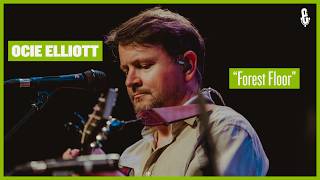 Ocie Elliott - Forest Floor (live on eTown)