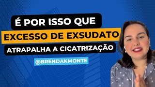 É por isso que o excesso de exsudato atrapalha a cicatrização!