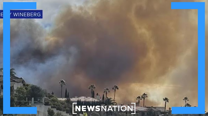‘It could’ve been saved’: LA resident’s security cameras show firefighter response | NewsNation Now