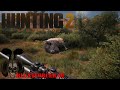 There is Something Wrong with Bison Legs! Hunting Simulator 2