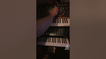 Behringer Poly D vs MonoPoly  #jnathyn #music #synth