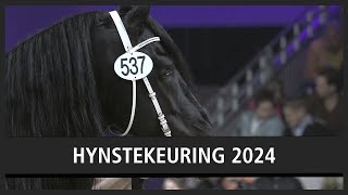 Jeppe 537 algemeen kampioen op Friese hengstenkeuring |  HYNSTEKEURING 2024