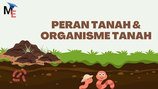 Peran Tanah & Organisme Tanah | Keberlangsungan Kehidupan