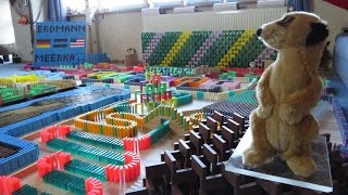 Meerkats in 11,000 dominoes
