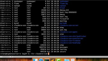 Cloudera Administration - Setup CM and CDH - Setup Cloudera Management Service