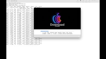 Curl using DEPNotify...
