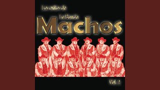 Video thumbnail of "Banda Machos - Mi Luna, Mi Estrella"