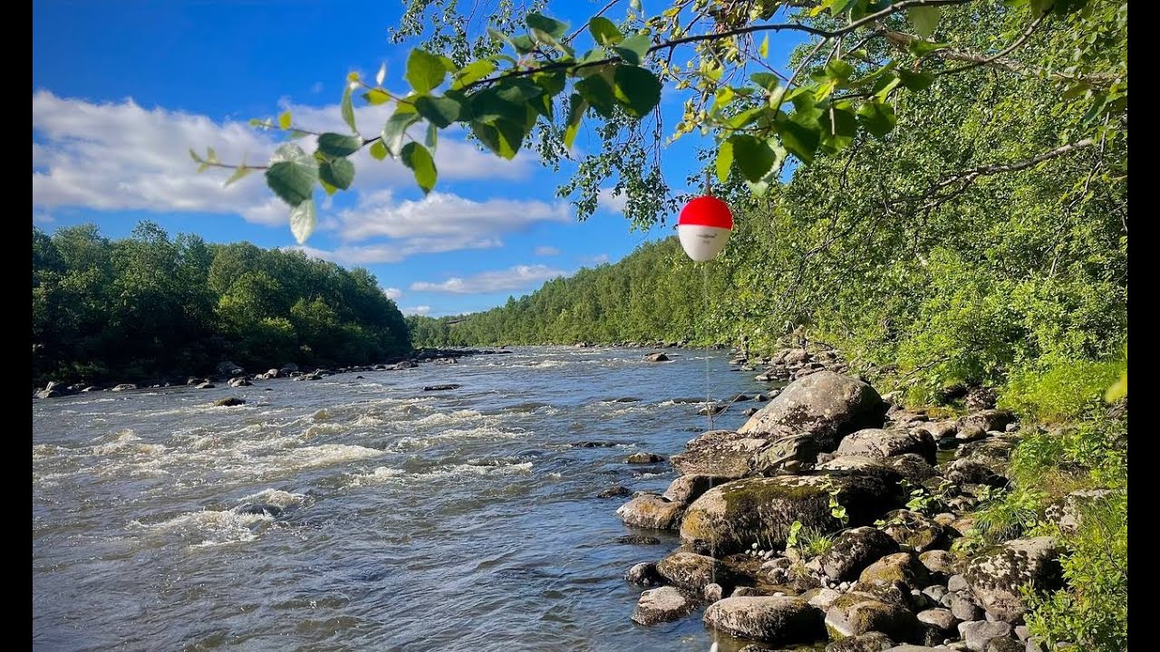 В погоне за ГОРБУШЕЙ, и незабываемая природа Кольского полуострова.