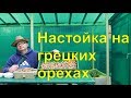 Настойка.Грецкий орех.Огород Баварский.