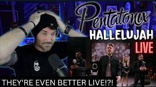 Metal Vocalist - Pentatonix Hallelujah Live ( FIRST REACTION )