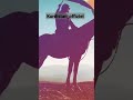 Kurdistan Kurdistan24 Kurdistan24 Kurdistani Kurd Viral Viralll Kurdish Virralshort