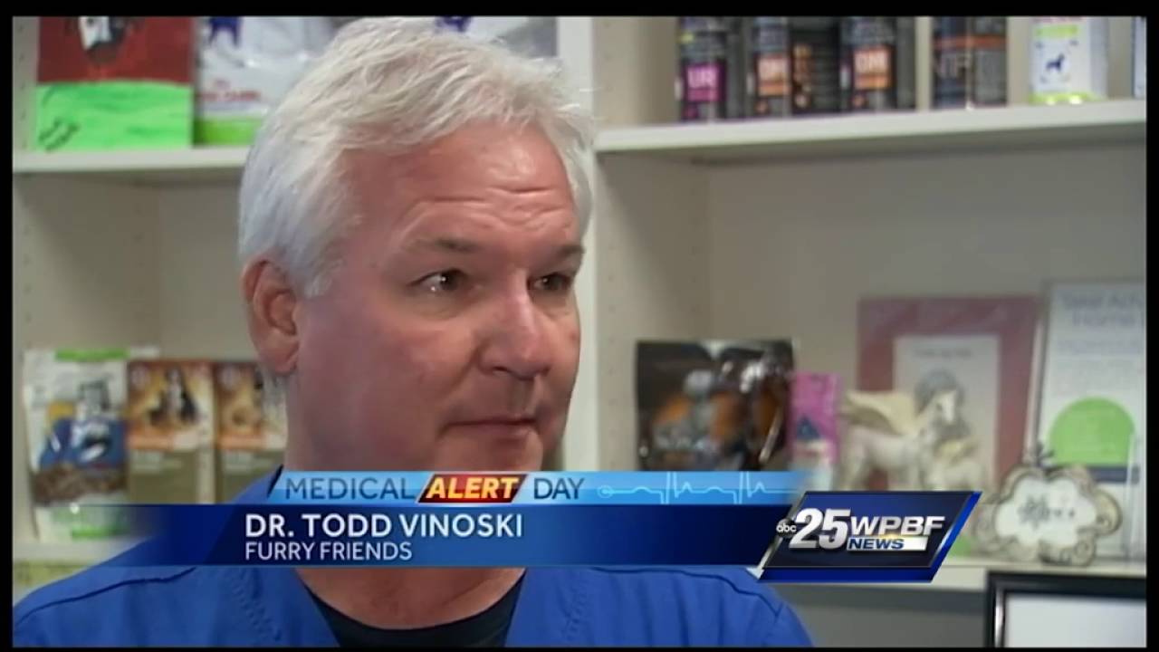 Can a dog get a sunburn? 