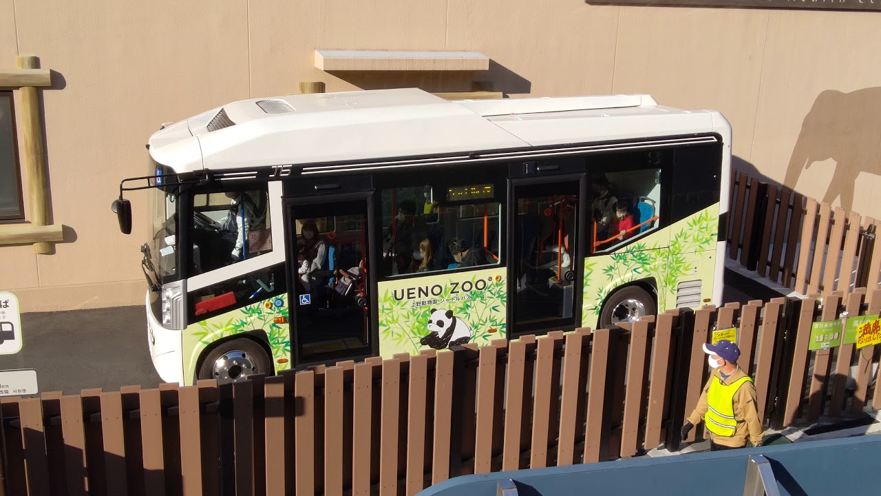 上野動物園の電気シャトルバス 11 14 Youtube 上野動物園の電気シャトルバス 11 14 Youtube
