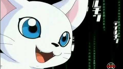 Every DNA Digivolution in Digimon Adventure 02 (US Dub)