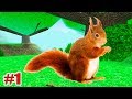 ЖИЗНЬ Маленькой БЕЛОЧКИ! СИМУЛЯТОР БЕЛКИ! Squirrel Simulator Игры на Андроид питомец 1 серия