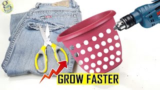 Do This to Grow Plant Faster 1000 times | Air Pruning DIY Experiment Hacks