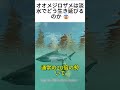 オオメジロザメは淡水でどう生き延びるのか 😨