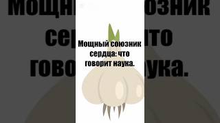 Мощный союзник сердца: что говорит наука. #fyp #здоровье #питание #нутрициолог #аллицин