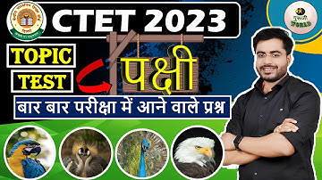 CTET Ncert पक्षी Evs | Ctet Evs Birds ncert guruji world ncert live evs class