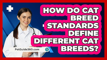 How Do Cat Breed Standards Define Different Cat Breeds? - PetGuide360.com