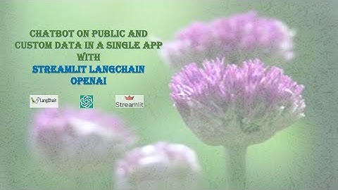 Use OpenAI LangChain and Streamlit to create custom chatbot