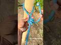 Incredible Slip knot!