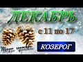 ♒️,КОЗЕРОГ, ТАРО-ПРОГНОЗ на неделю 11- 17.12.2023г.,таро,неделя,гороскоп,козерог неделя,козерог таро