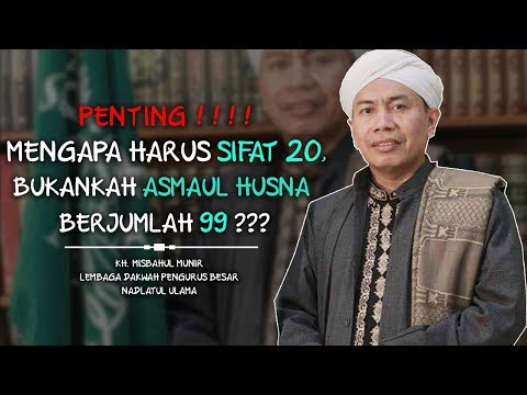 Video: Perbezaan Antara Harus Dan Harus