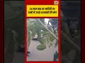 Viral Video 24 साल बाद वट सावित्री पर पत्नी ने उठाई शराबबंदी की मांग | #viralvideo #viralnews #short