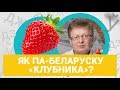 Клубніцы, трускаўкі, трускалкі? Як правільна? | Как по-беларусски «клубника»?