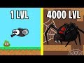 Эволюция Паука! FlyOrDie.io Новая io Игра