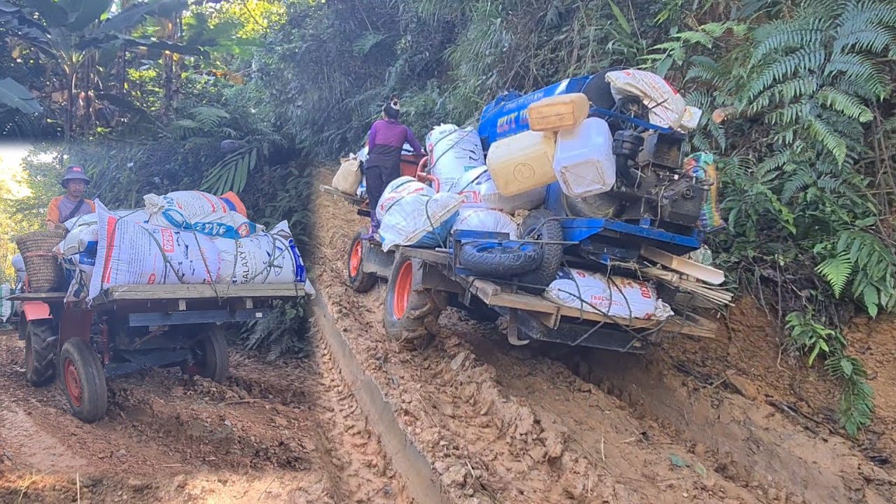 Ua zog ntaus nplej tiav lawm ces thauj nplej los tsev nawb tsis tau nplej kiag li os