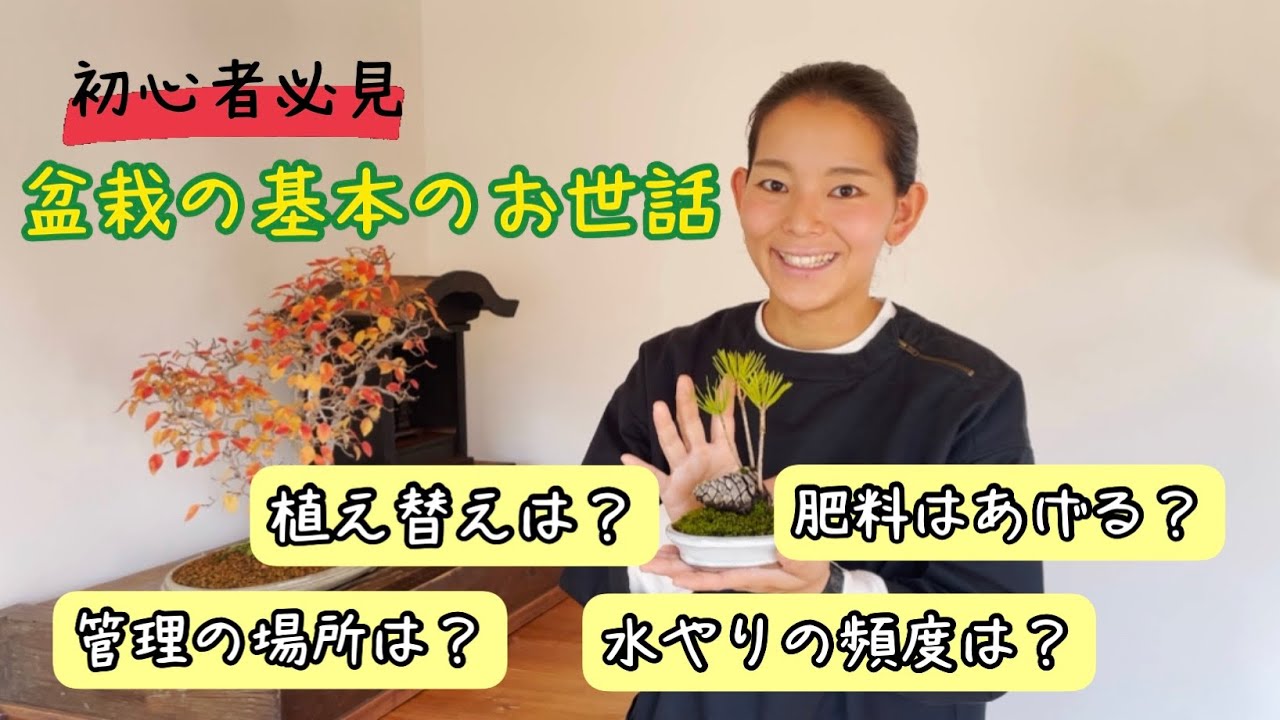 園芸 盆栽のお世話の仕方 育てる時のコツやよくある疑問についてお答えします Youtube