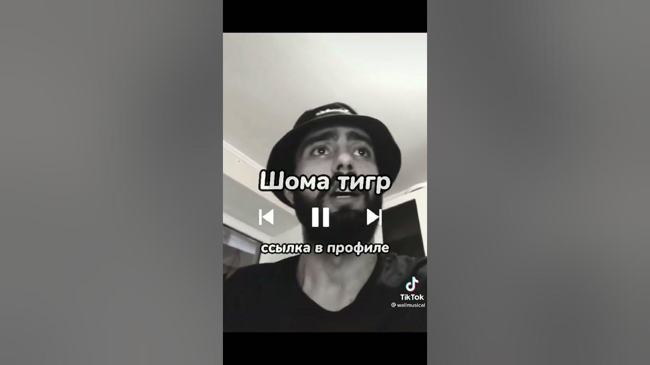Asanrap шома. Шома тигр asanrap клип. Шома тигр asanrap. Шома тигр mp3. Шома тигр mp3.
