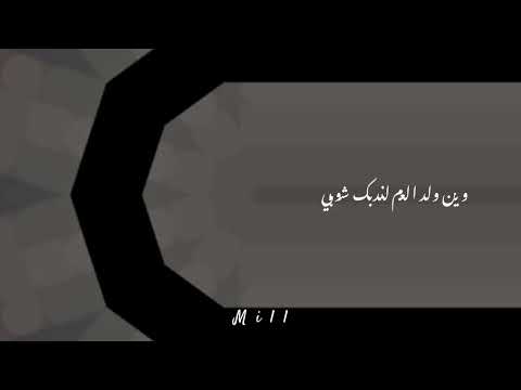 Al Shami Jinak Lyrics كلمات الشامي جيناك