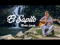 Nicolas Losada - El Sapito (Videoclip Oficial) | Música Medicina.