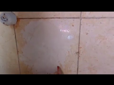 COMO TIRAR GORDURA DA PAREDE