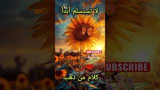 لا تستسلم أبداً  فإن الله معك #حكايات_وقصص #اللهم_صل_وسلم_على_نبينا_محمد #المغرب_الجزائر #DRAGANOV