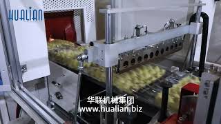 HWS-50C+BS-5030X Hualian Shrink Wrap Machine